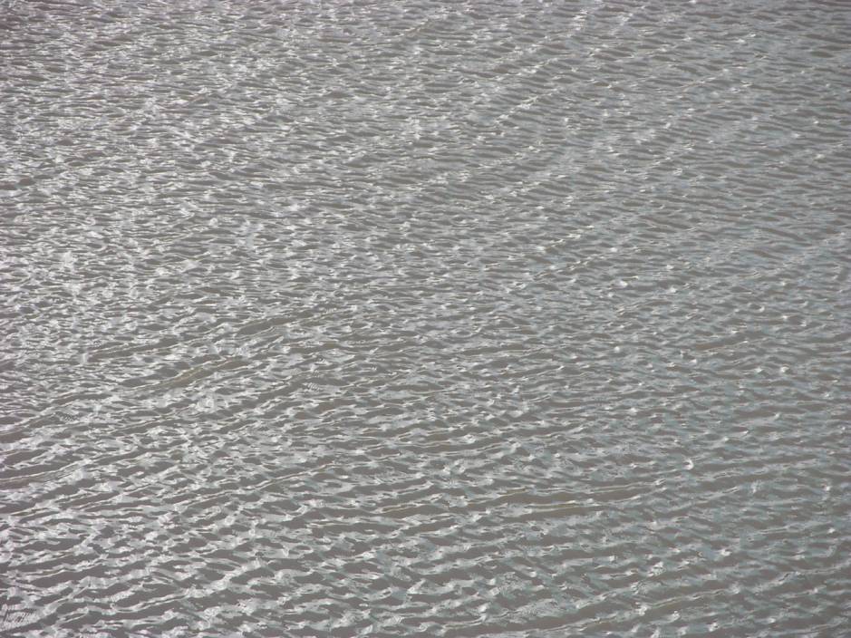 image004