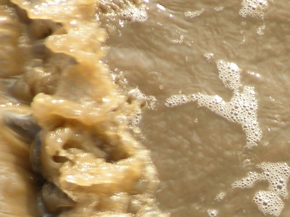 image010