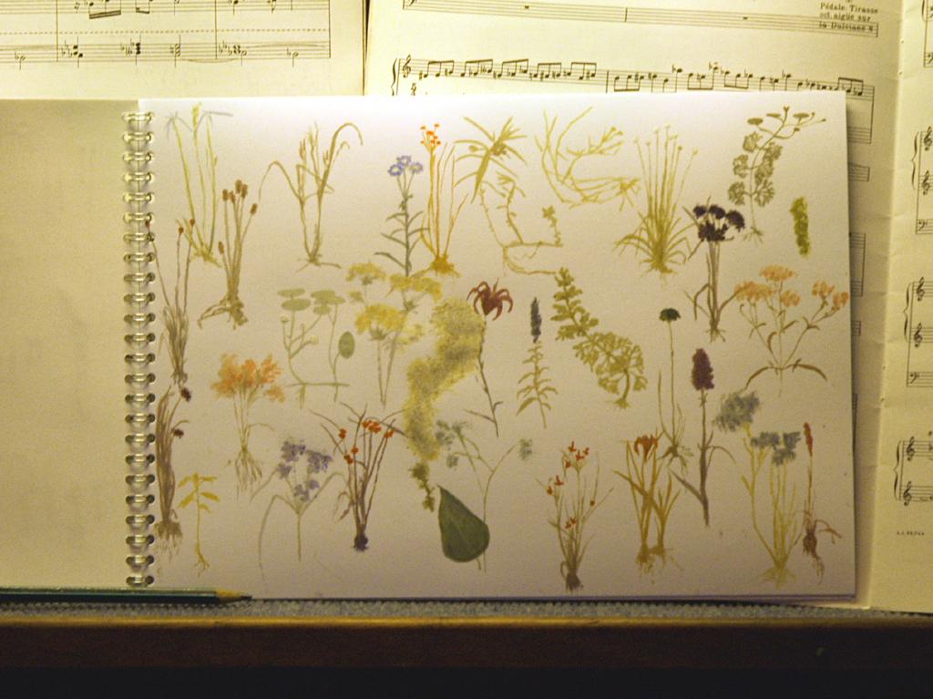 score'chorale'