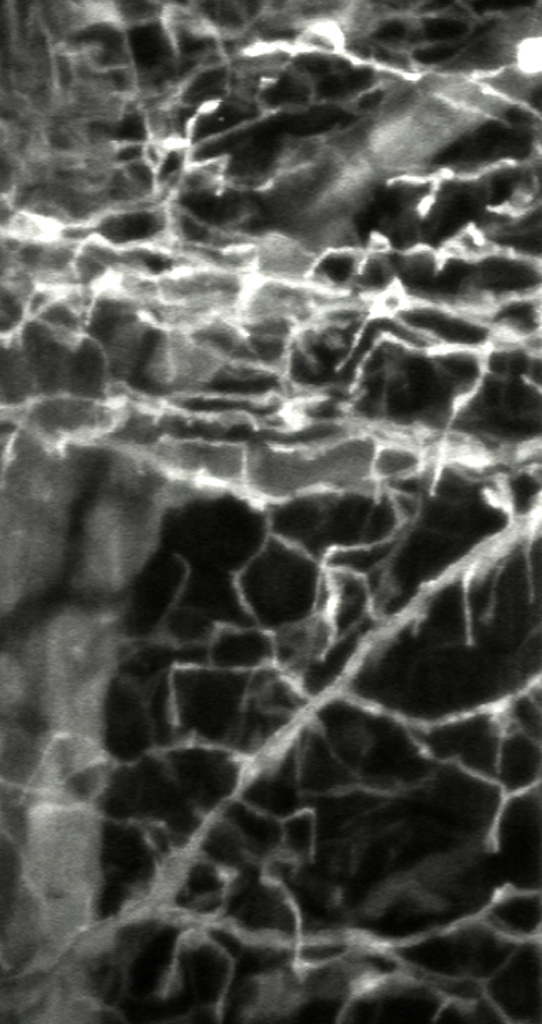 video still[night]