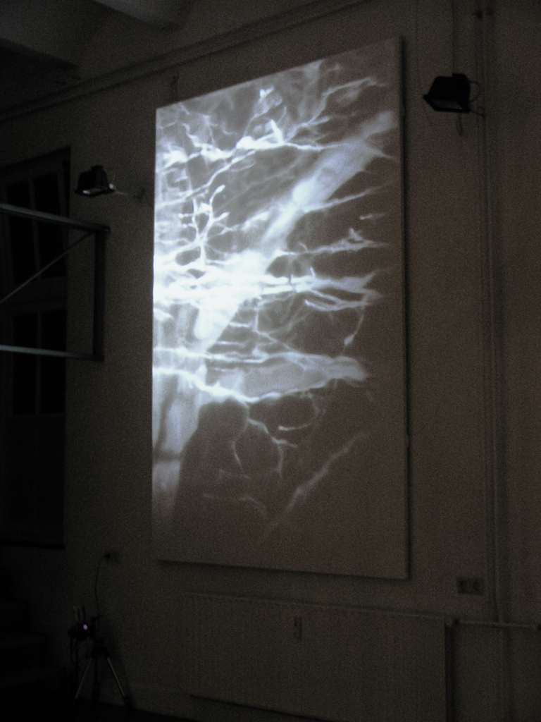 installation view
