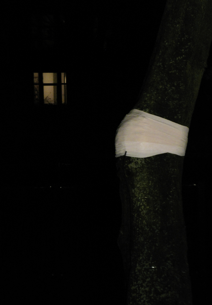 tree[mic]