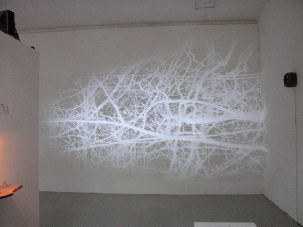 projection 01[front]