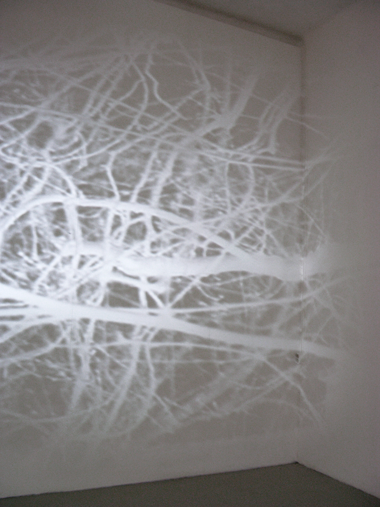projection 01[corner]