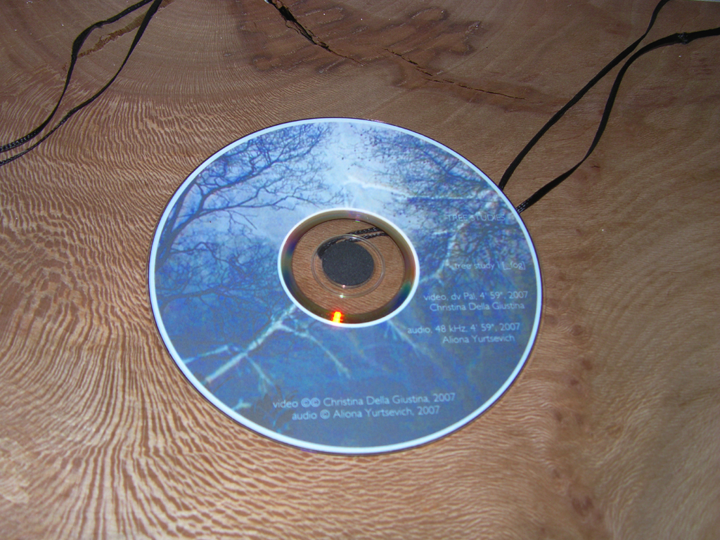tree study 01[dvd]