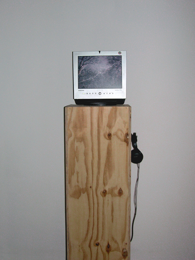 tree study 01[on monitor]