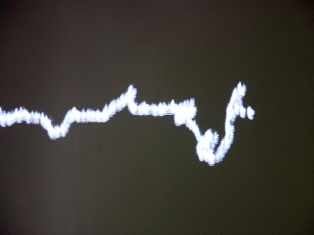 twig drawing