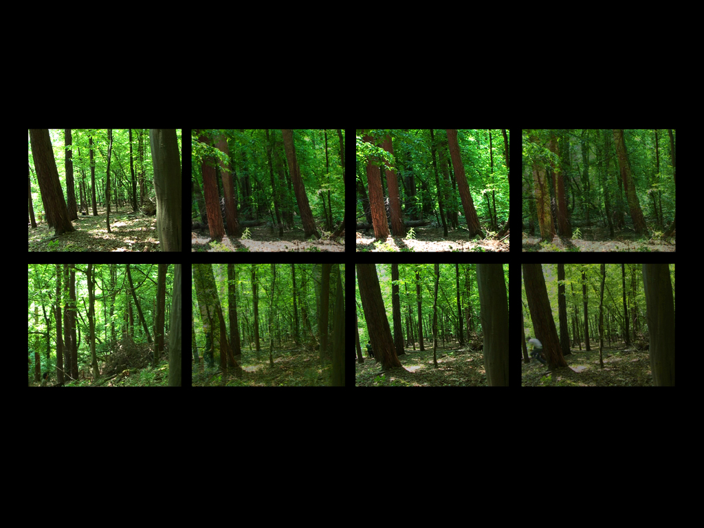 8 video stills