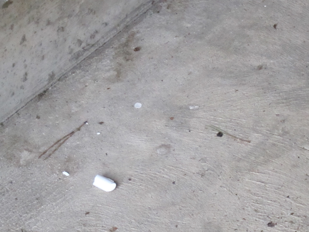 14 cIayaq chalk [IMG 0941]