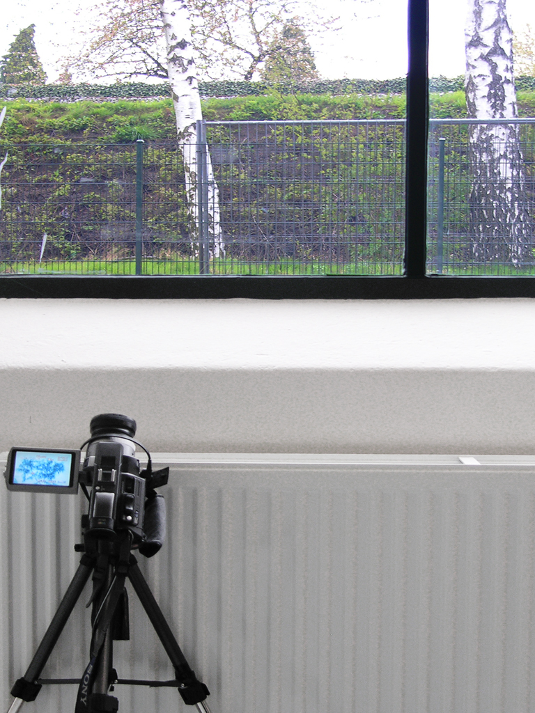 live camera 01 3993