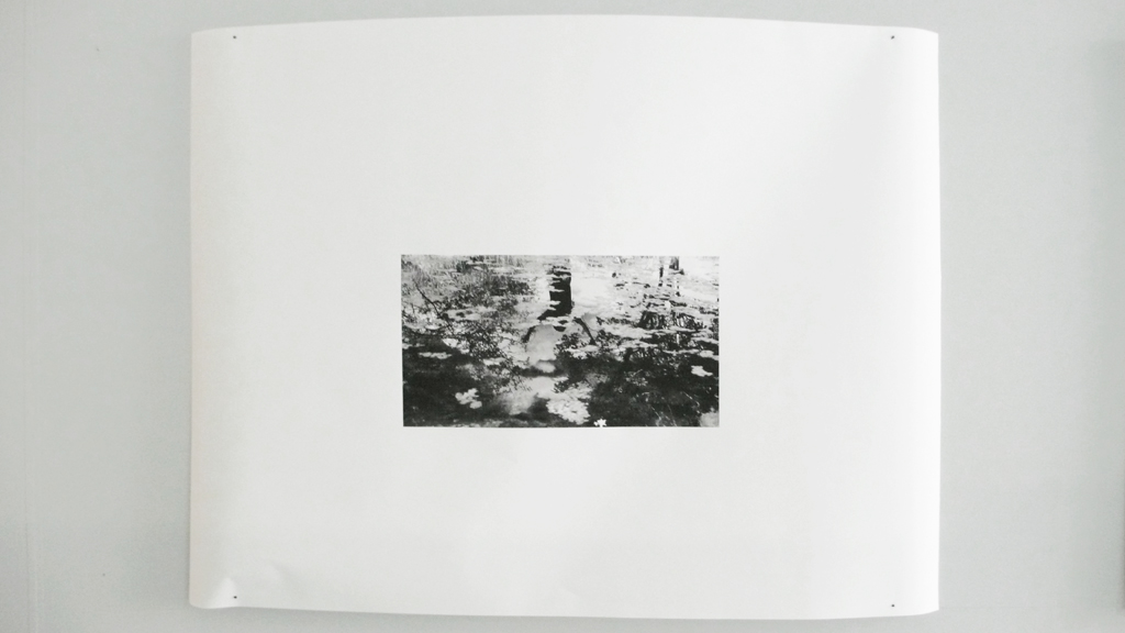 connection 05photograph