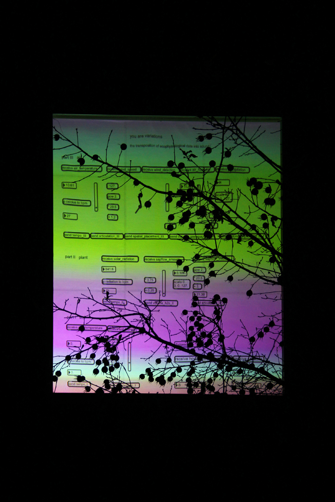 yav light Salgesch 04