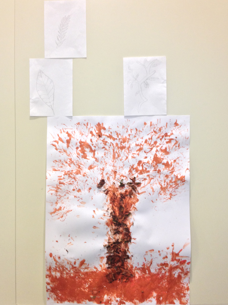 drawings