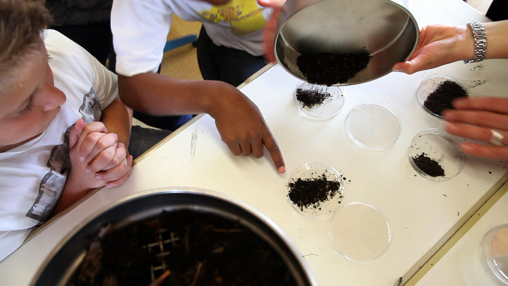soil workshop