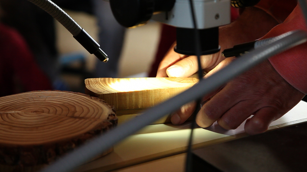 dendro workshop