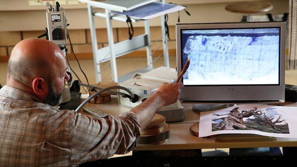 Andreas Rigling workshop leader