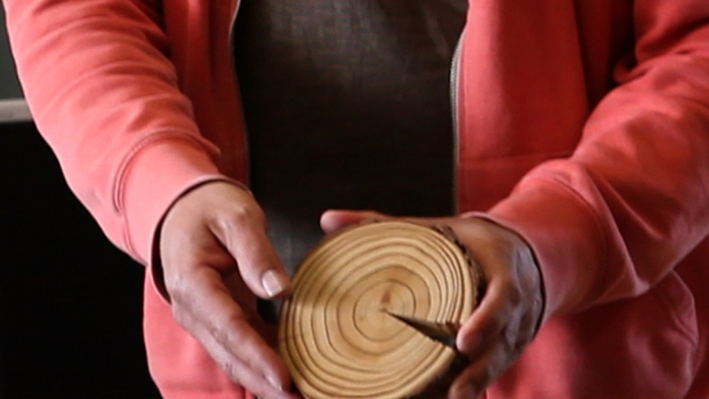 dendro workshop