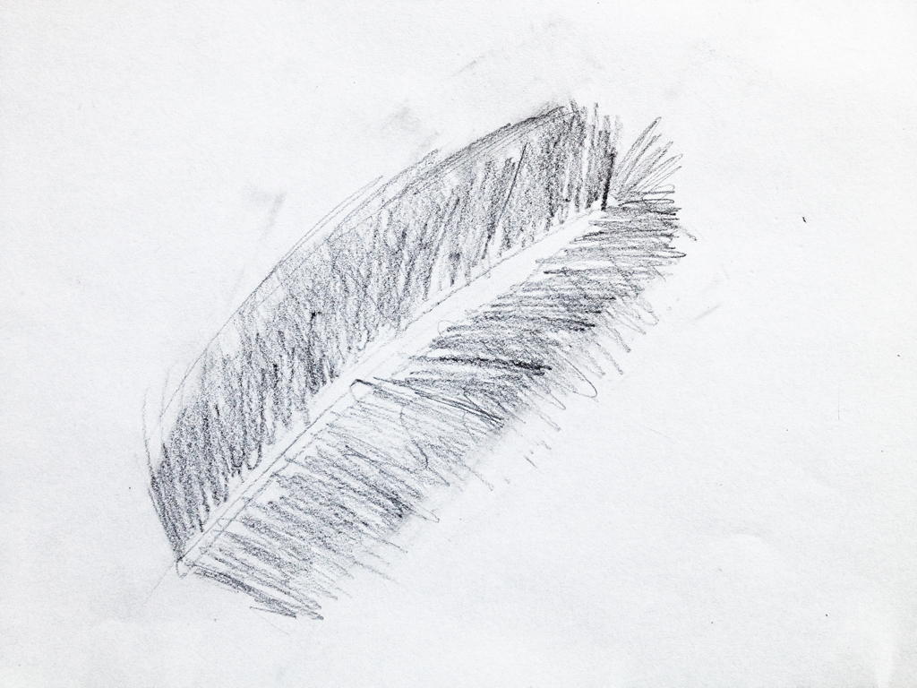 49 needle Zeichnung Blatt IMG 3133