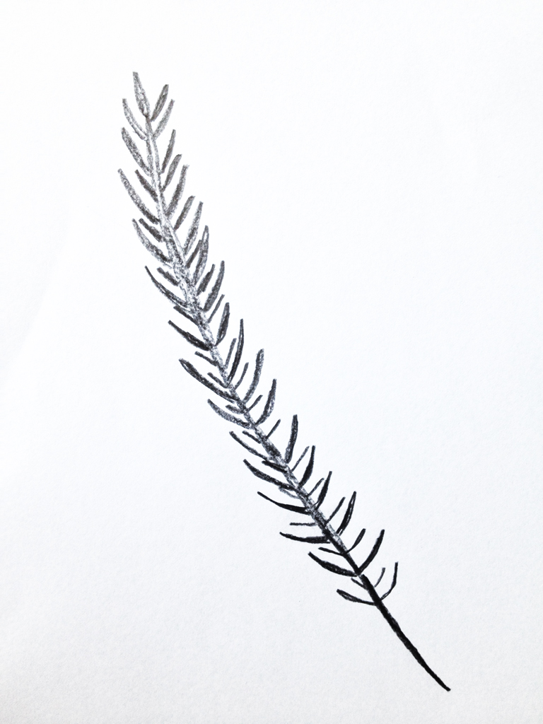 57 needle Zeichnung Blatt IMG 3146