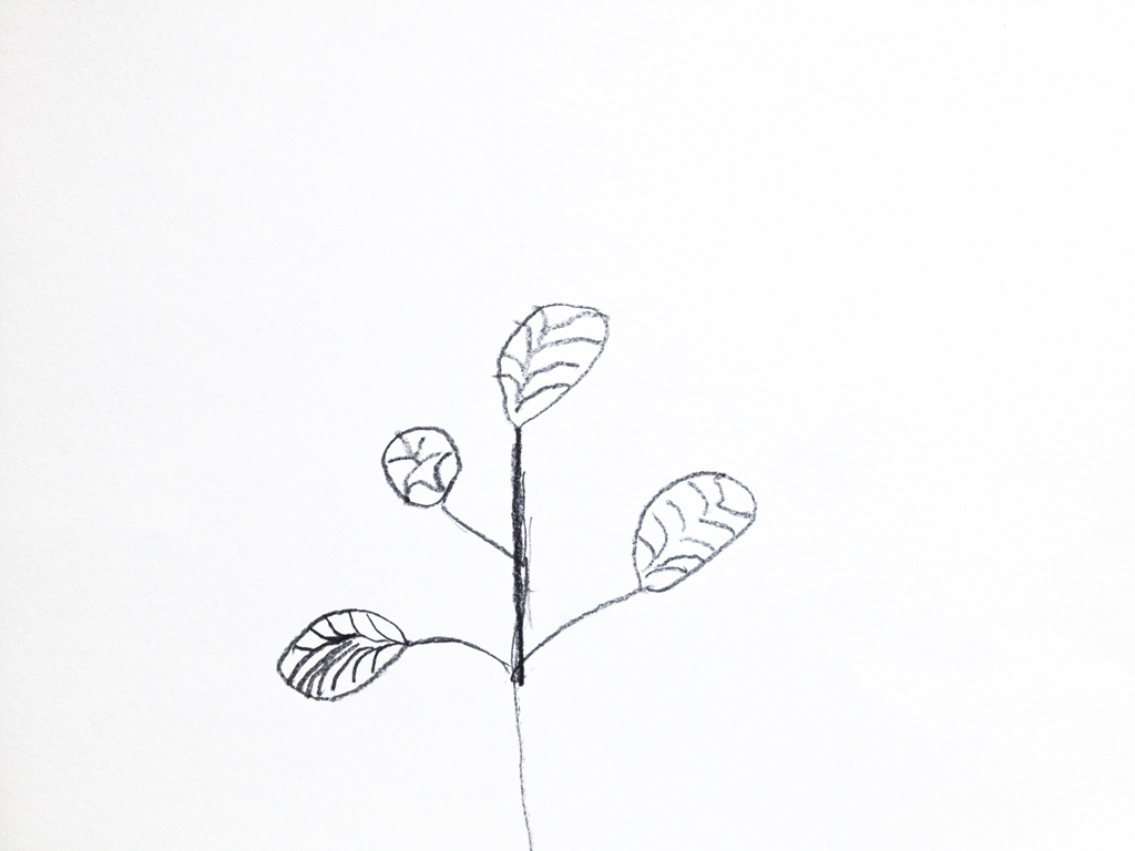 76 Zeichnung Blatt IMG 3131
