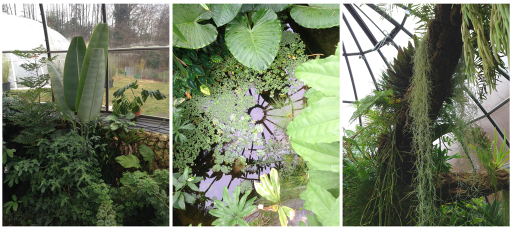 botanical garden details