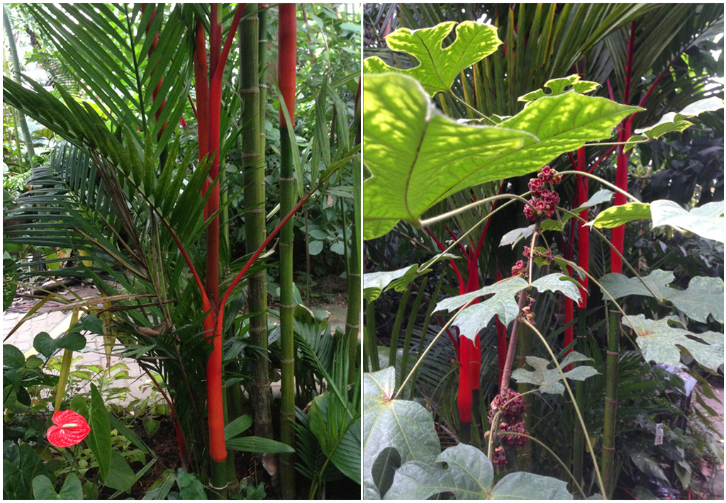 botanical garden details