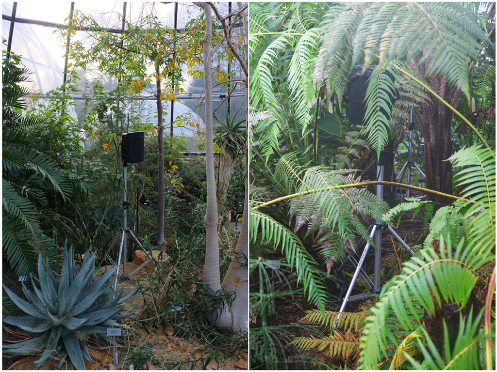 installation detail