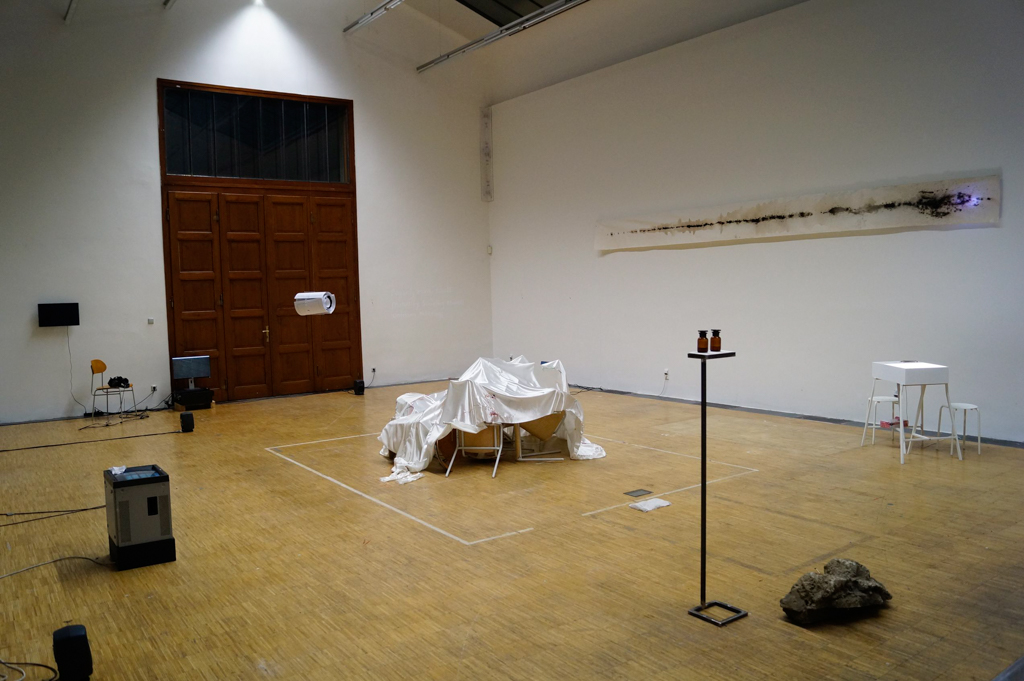 Exhibition overview